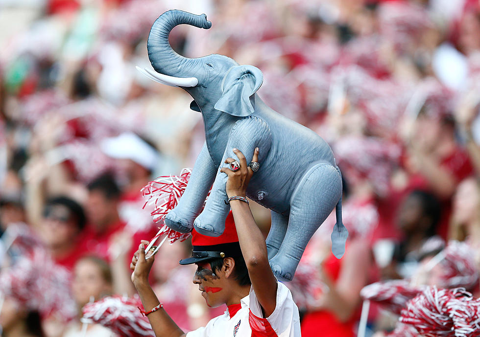 Tuscaloosa Ranks 5th in List of Football Fans