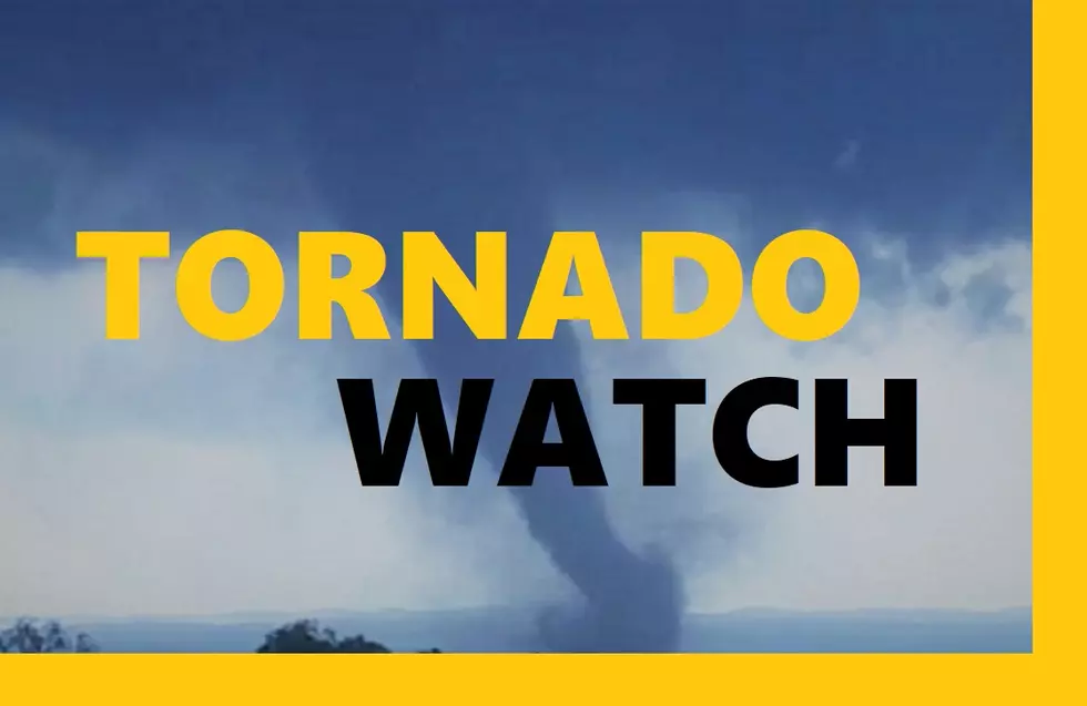 Tornado Watch in Effect Until 9 PM