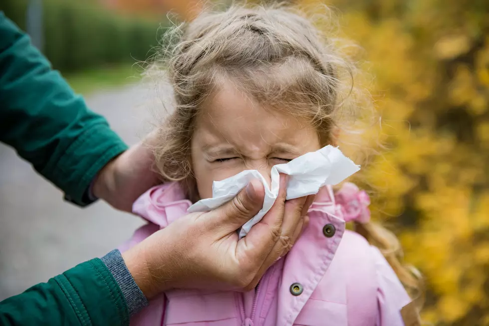Fall Allergy Season: How Bad is it in Alabama?