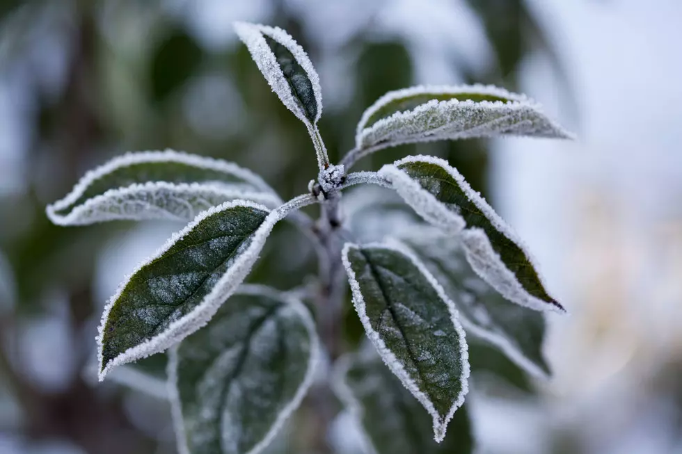 Chilly Weekend Mornings: Frost Advisory Issued for Portions of Alabama