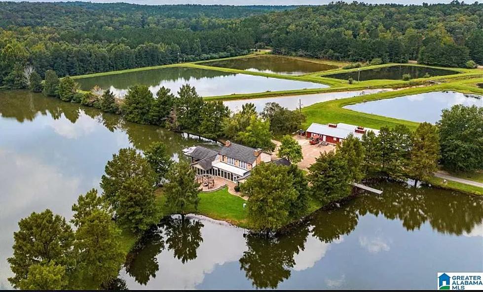 You Can Live On Your Own Island Without Leaving Tuscaloosa County