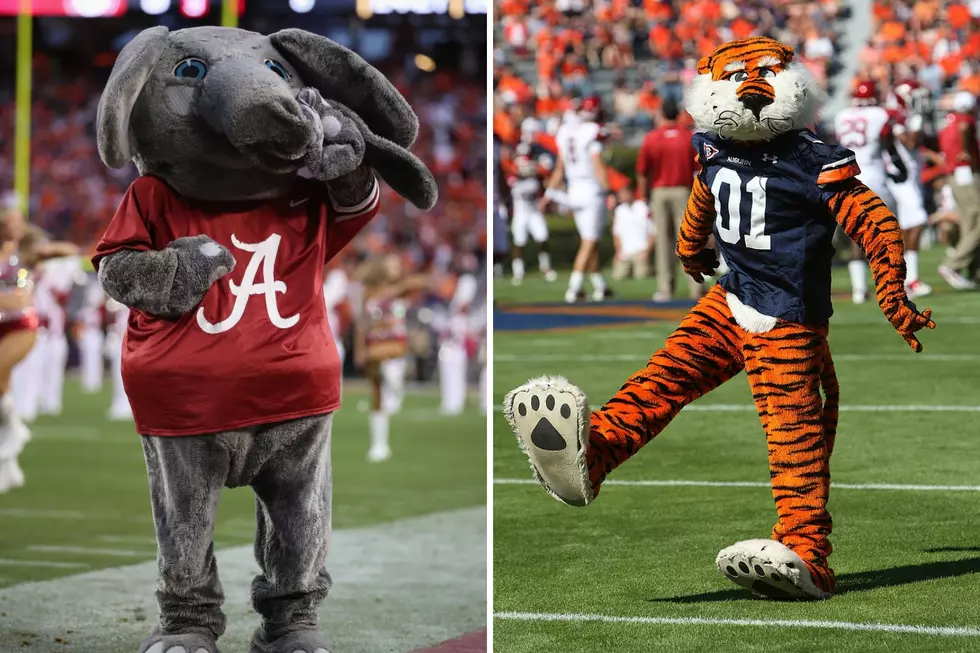 Iron Bowl Weather Forecast for the Biggest Game of the Year