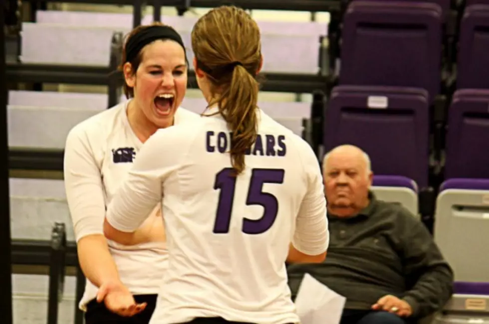 Vikings Picked 5th, Cougars 12th In NSIC Volleyball