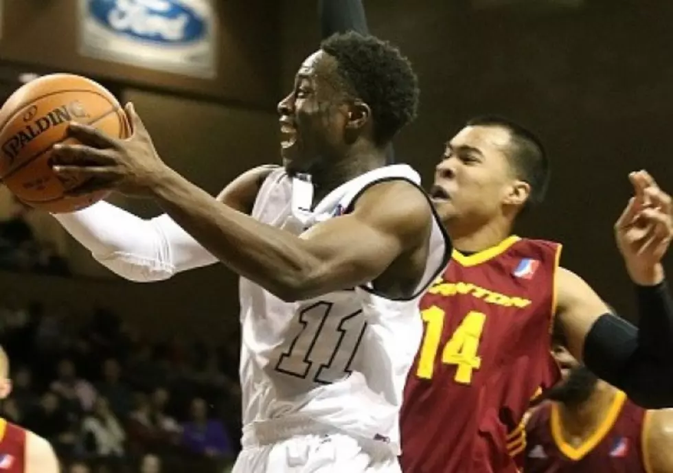 Roster down to a Dozen as Skyforce Suit up for 2015-16 Schedule