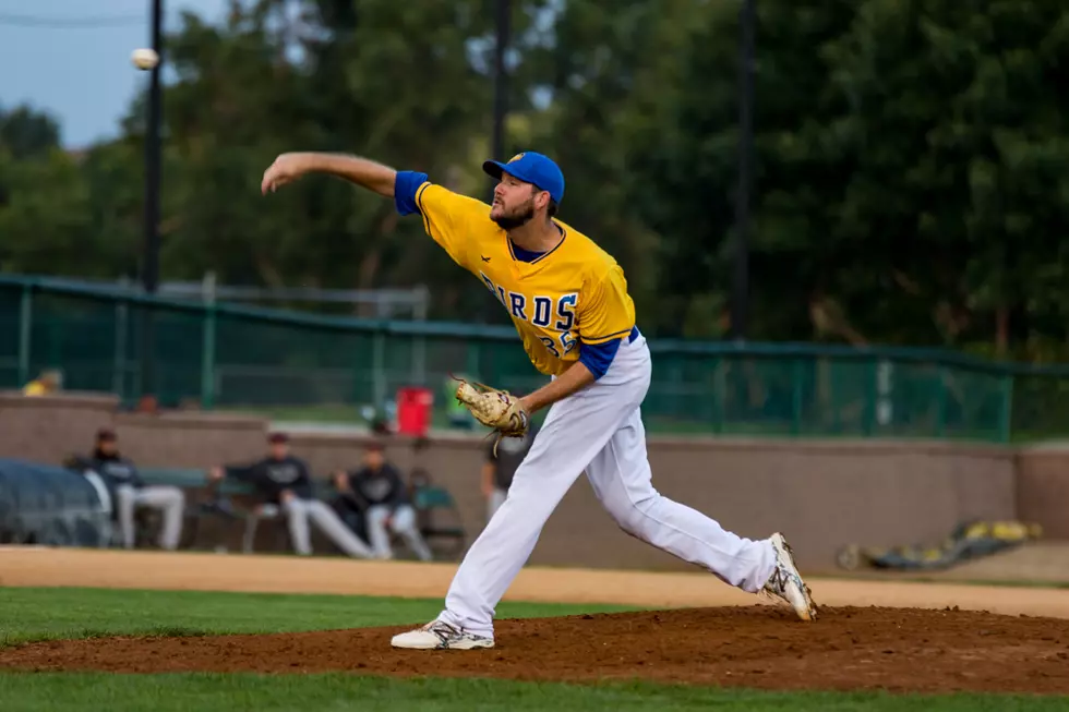 Sioux Falls Canaries Can’t Quite Redhawks Bats in Series Finale, Fall 12-5
