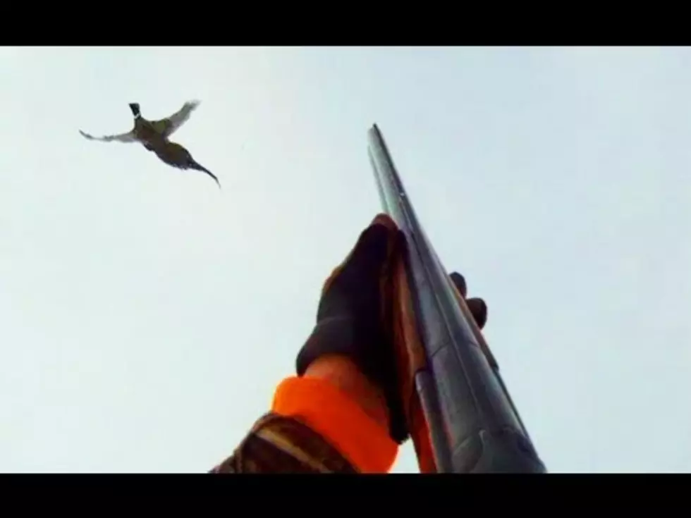 This South Dakota Pheasant Hunting Video Has Been Viewed 1 Million Times More Than Any Other