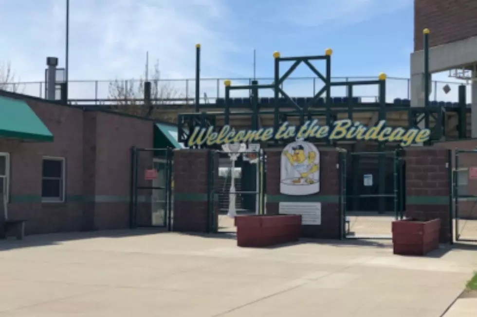 Sioux Falls Canaries Open Tonight and are Giving Fans a Chance to get Vaccinated