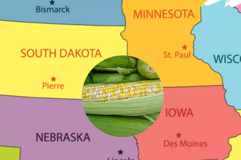 Is Iowa Sweet Corn Better Than Minnesota & South Dakota’s?