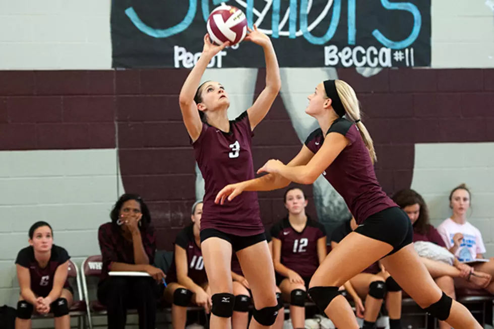 Volleyball Roundup