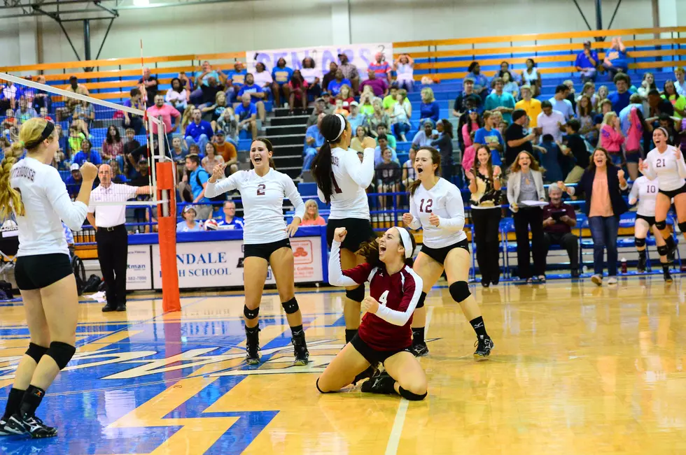 Friday Volleyball Roundup: Whitehouse Keeps Rolling In District + More