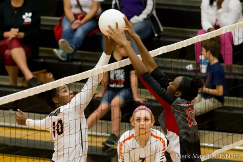 Volleyball Roundup