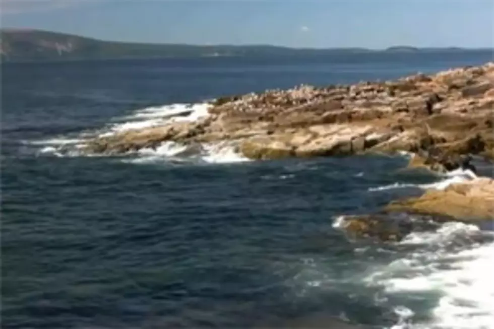 Schoodic Point is my &#8220;Video of the Day&#8221;! [VIDEO]