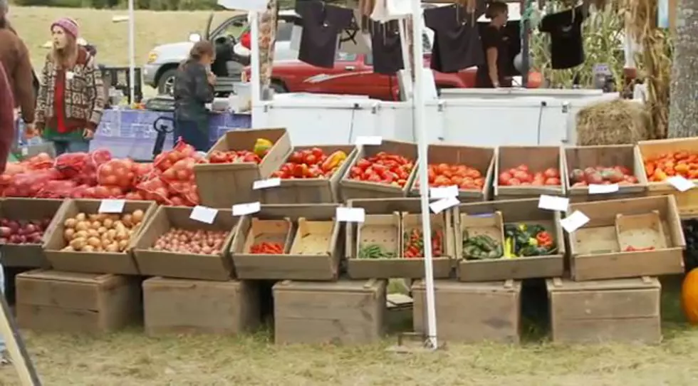 Common Ground Country Fair This Weekend [VIDEO]