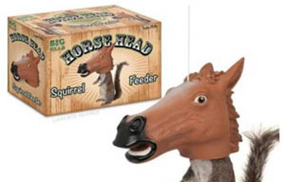 Horse Head Feeder For Squirrels [VIDEO]