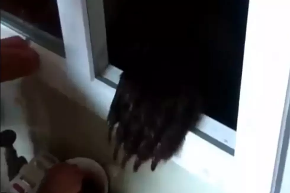 Guy Feeding A Bear…Through The Window