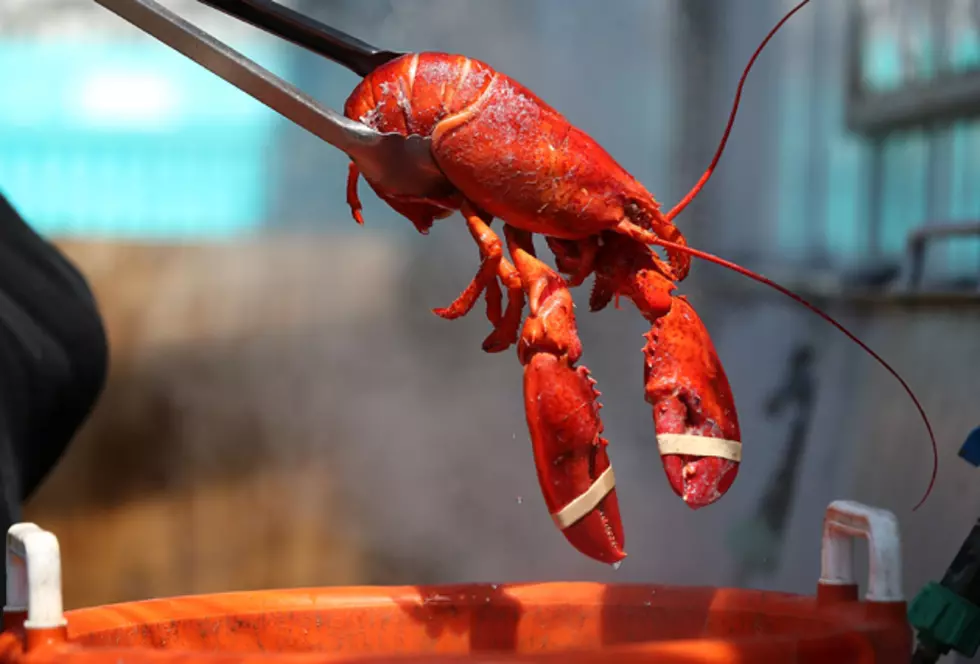 Lobster Prices Highest Since 2007