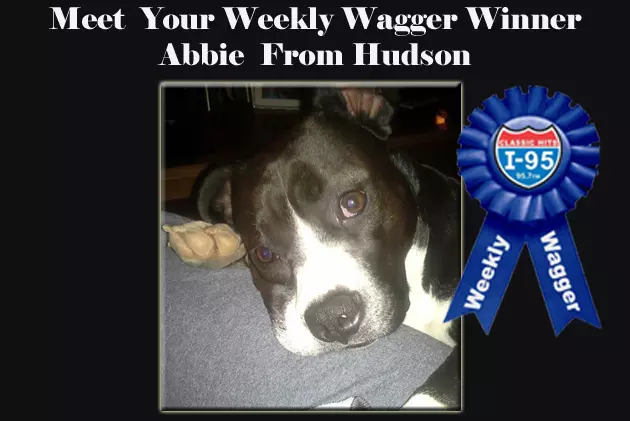 New I-95 Weekly Waggers Are Ready To Go, Vote Today!