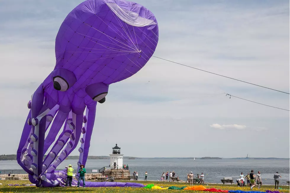 Kite Festival In South Portland Looks Worth The Drive