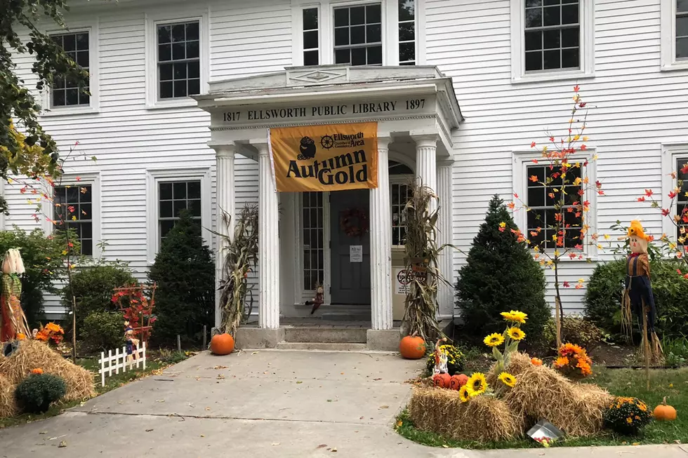 Fun Autumn Gold Events This Weekend In Ellsworth