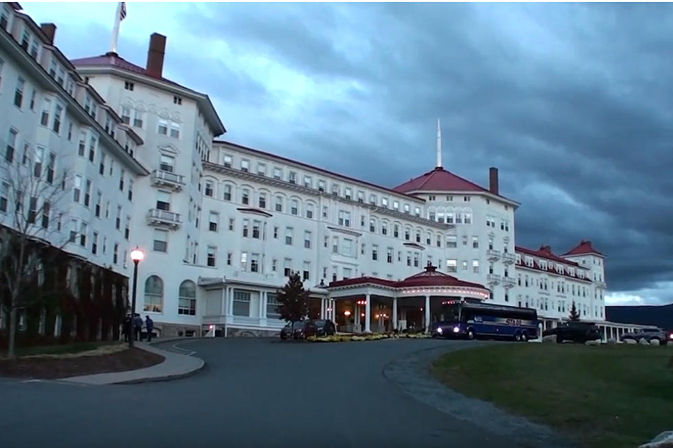 Young Bear Tries Out Mount Washington Hotel