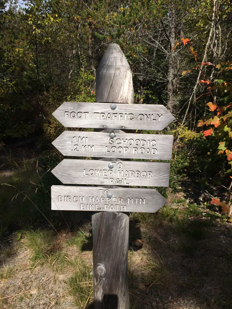 Trail Vandalism Reported Within Acadia National Park