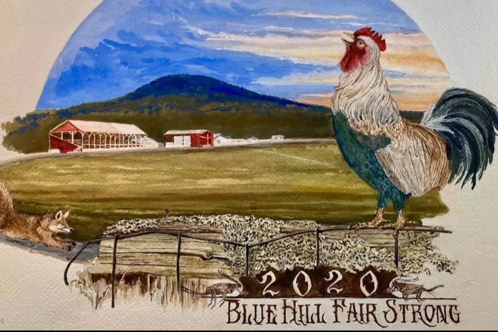 Yes, There Is A 2020 Blue Hill Fair Poster – Here’s How To Get One