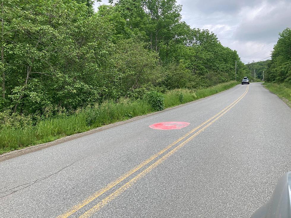 Winterport Resident Painted A Bump On A Road To Look Like A Zit