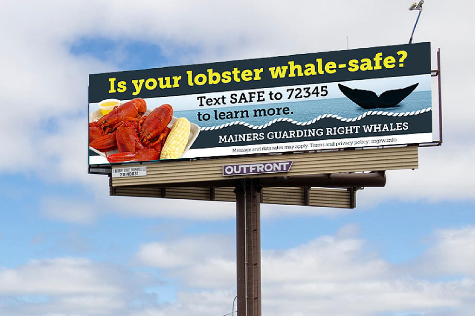 Maine Group Buys Billboards Promoting ‘Whale-Safe Lobsters’