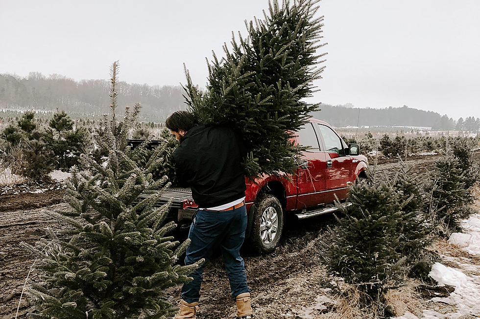 Why Wouldn&#8217;t You Tip the Person Who Loads Up Your Christmas Tree?