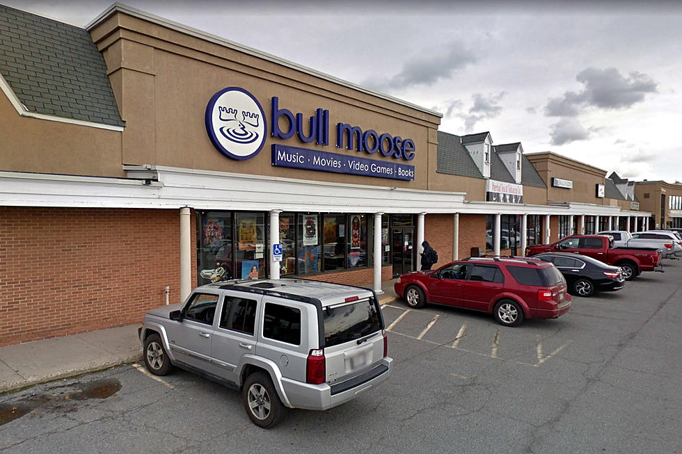 Maine’s Popular Bull Moose Has Been Sold … To Its Employees
