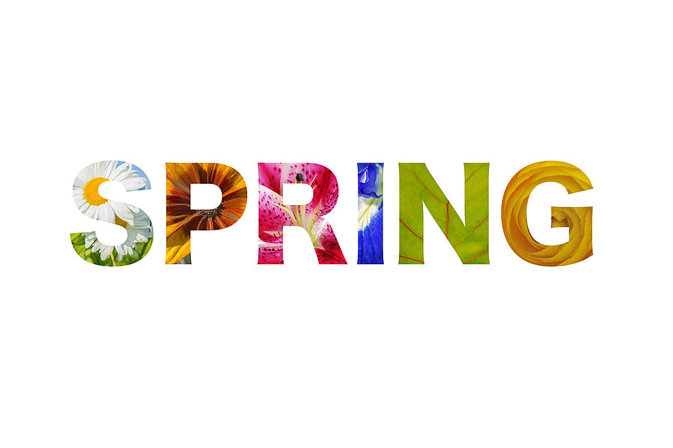 Details On Spring Cleanup Options In Your Neck Of The Woods