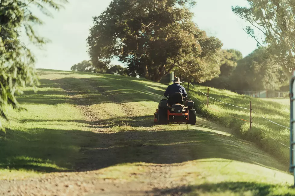 Do You Own a Riding Mower Because You’re Terrified of Snakes?