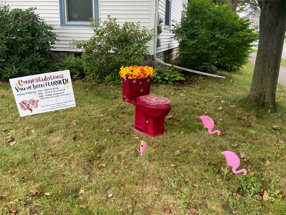 Forget Flamingos: Project Graduation Raises Money With Flushes