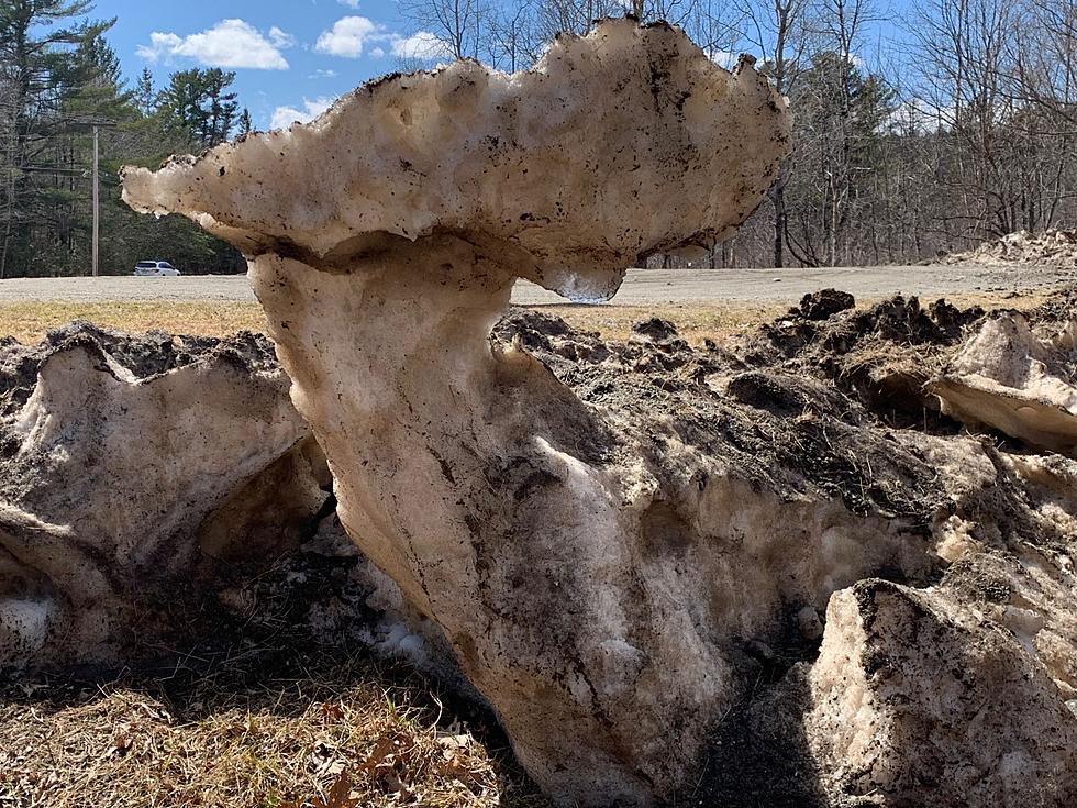 You Should See The Funky Snow Mushroom in Hampden Before it Melts
