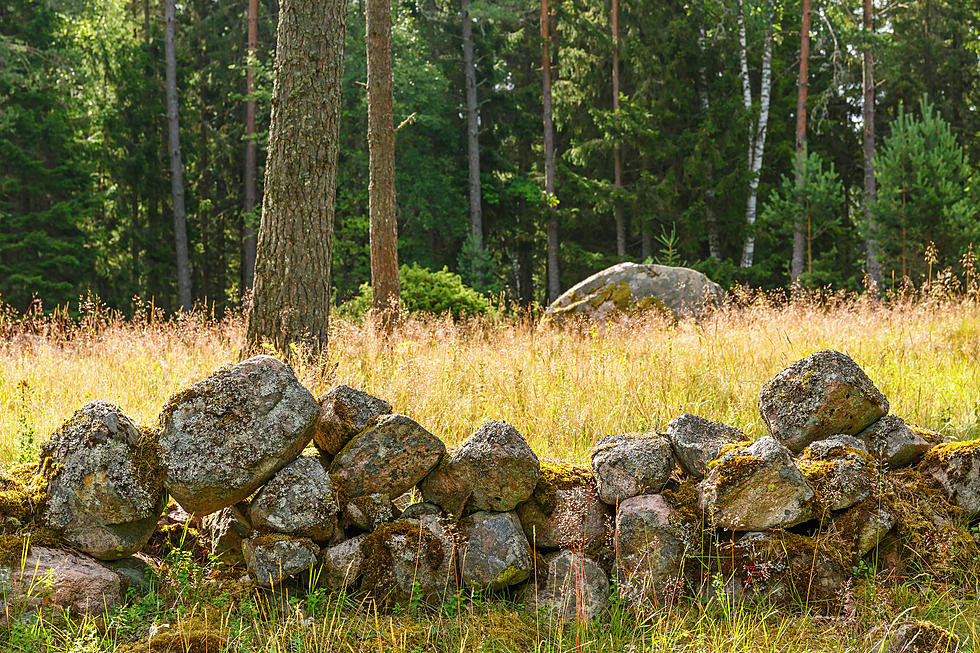 Why Does Maine have So Many Random Stone Walls in the Woods?