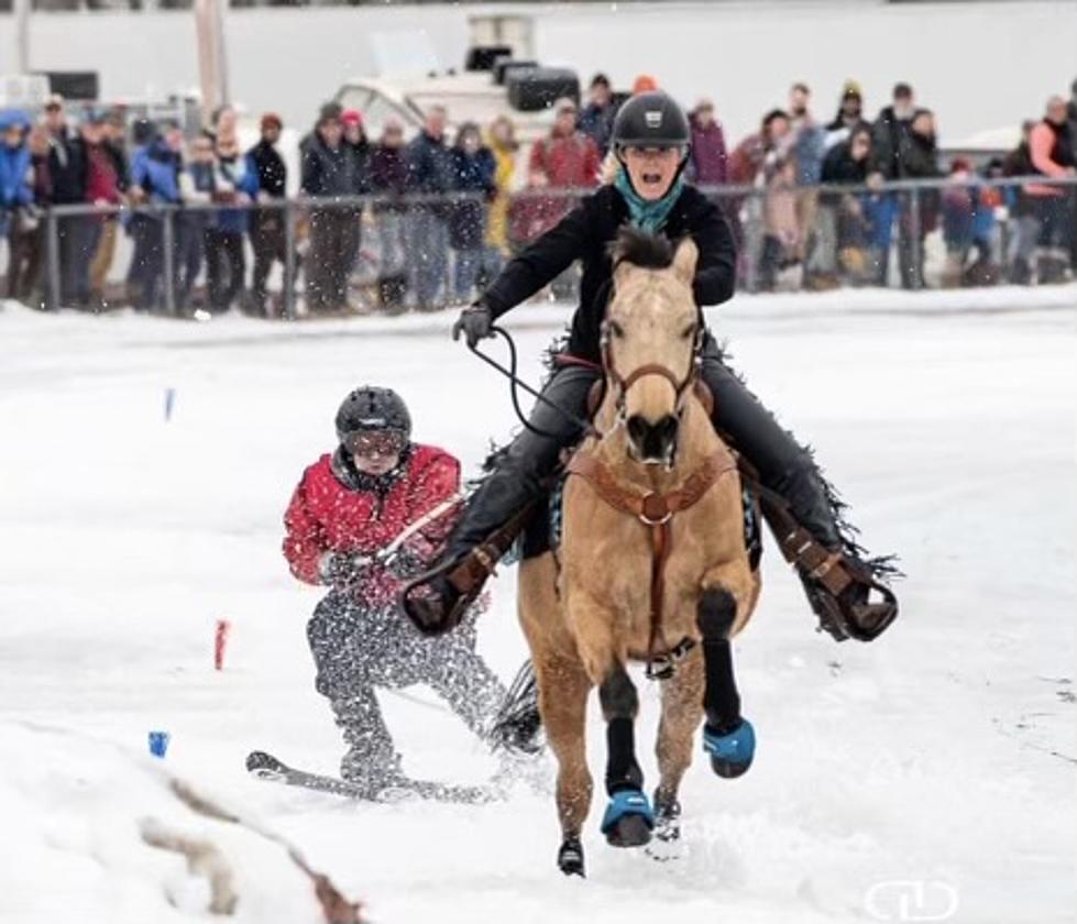 It's Like Apline Meets Equine: Skijor Bangor Coming In March