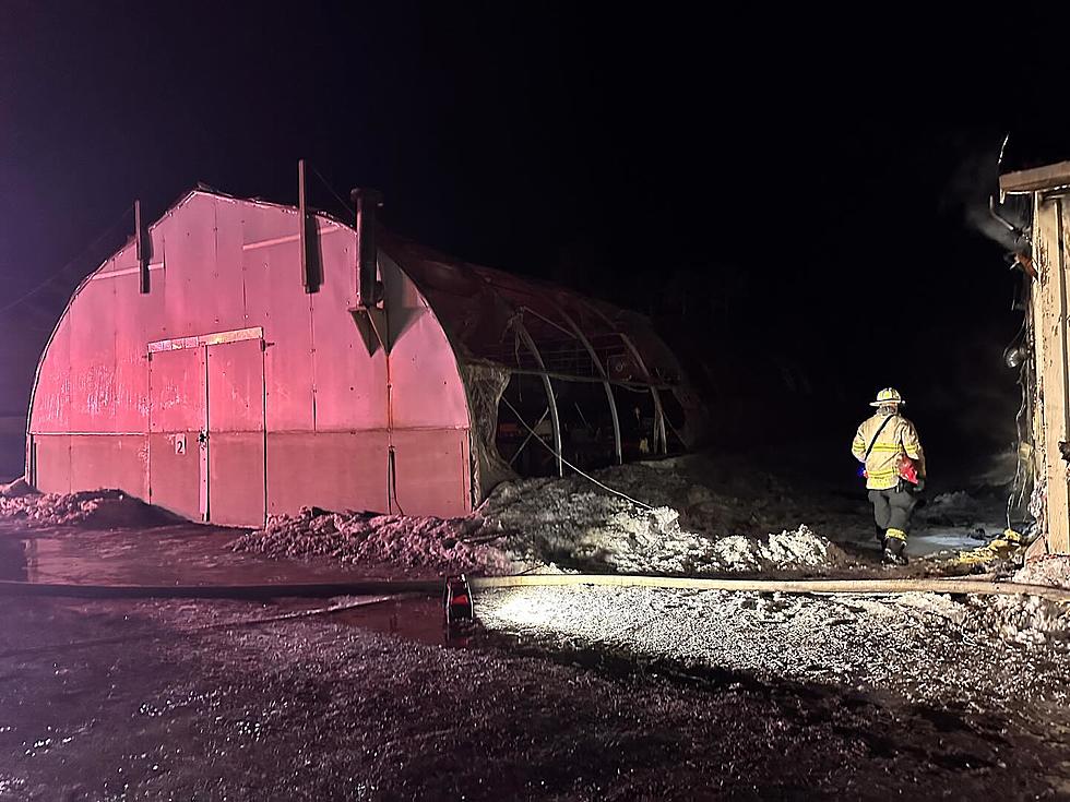 Bangor Nursery Will Stay Open After Greenhouse Catches Fire Overnight