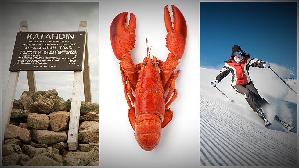 An Insider’s Look Into Maine’s 8 Diverse Tourism Regions