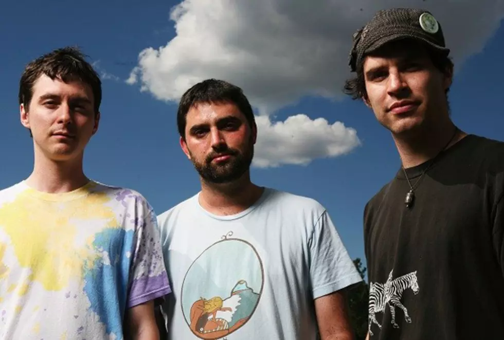 Animal Collective Show At Williamsburg Park Cancelled