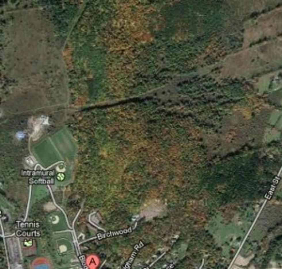 Oneonta Planning Commission to Review Hillside Commons Application May 1