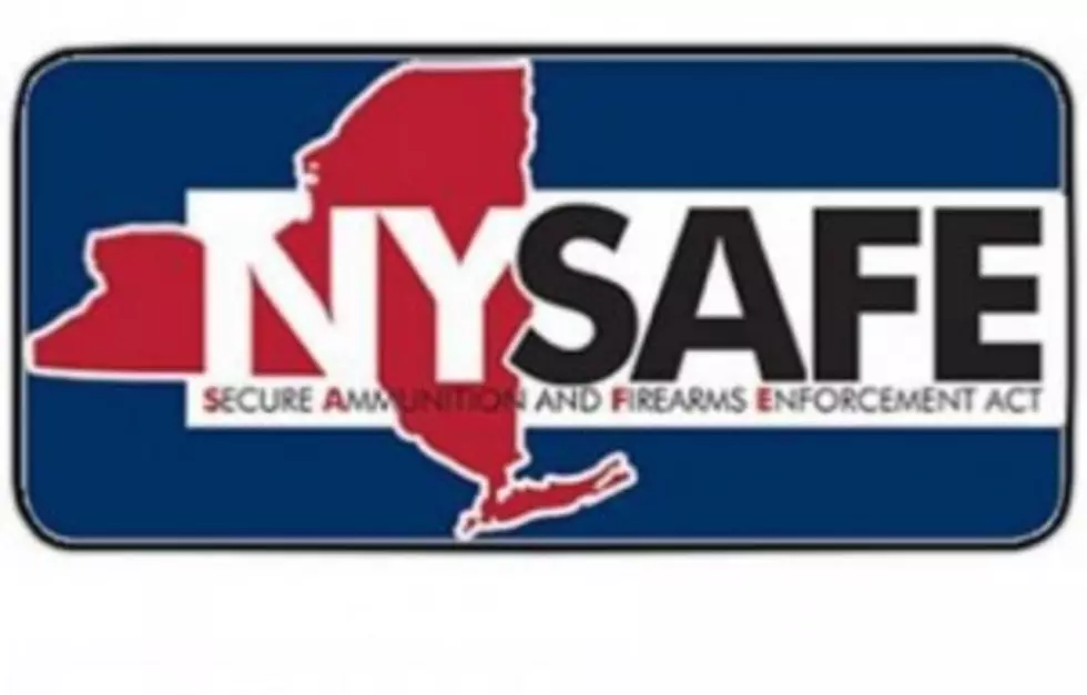 Crouch to Host Forum on NY Safe Act