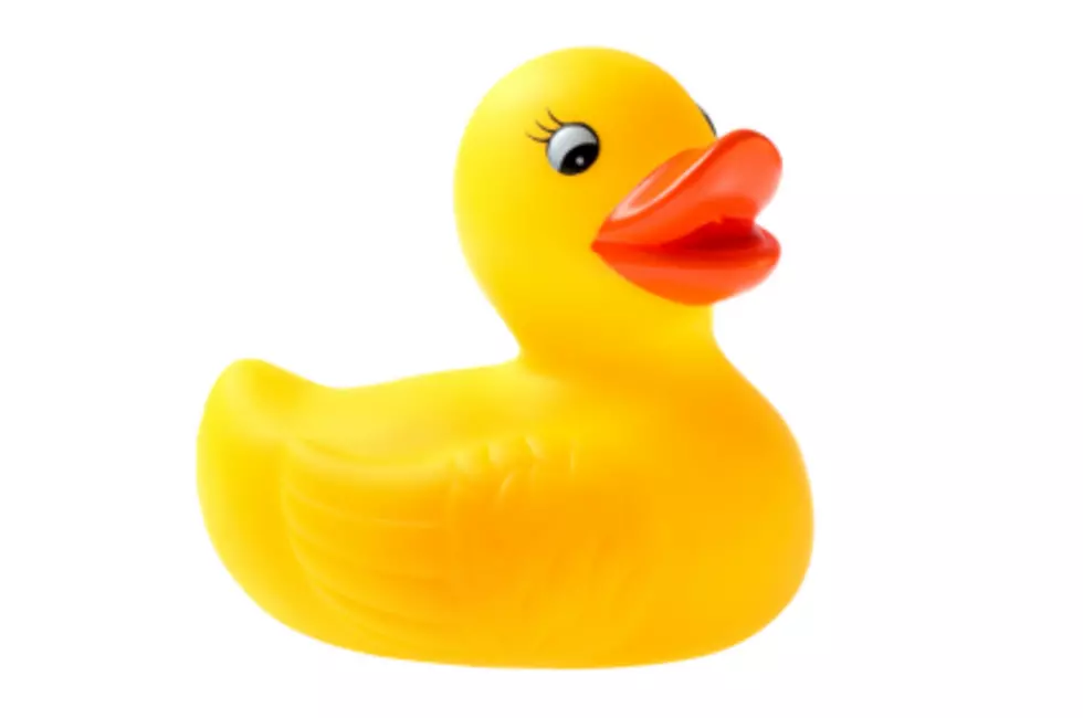 “Chess” and “Rubber Duckie” Enter Toy Hall of Fame!