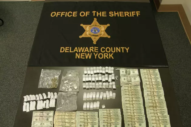 Felony Drug Arrest in Town of Davenport
