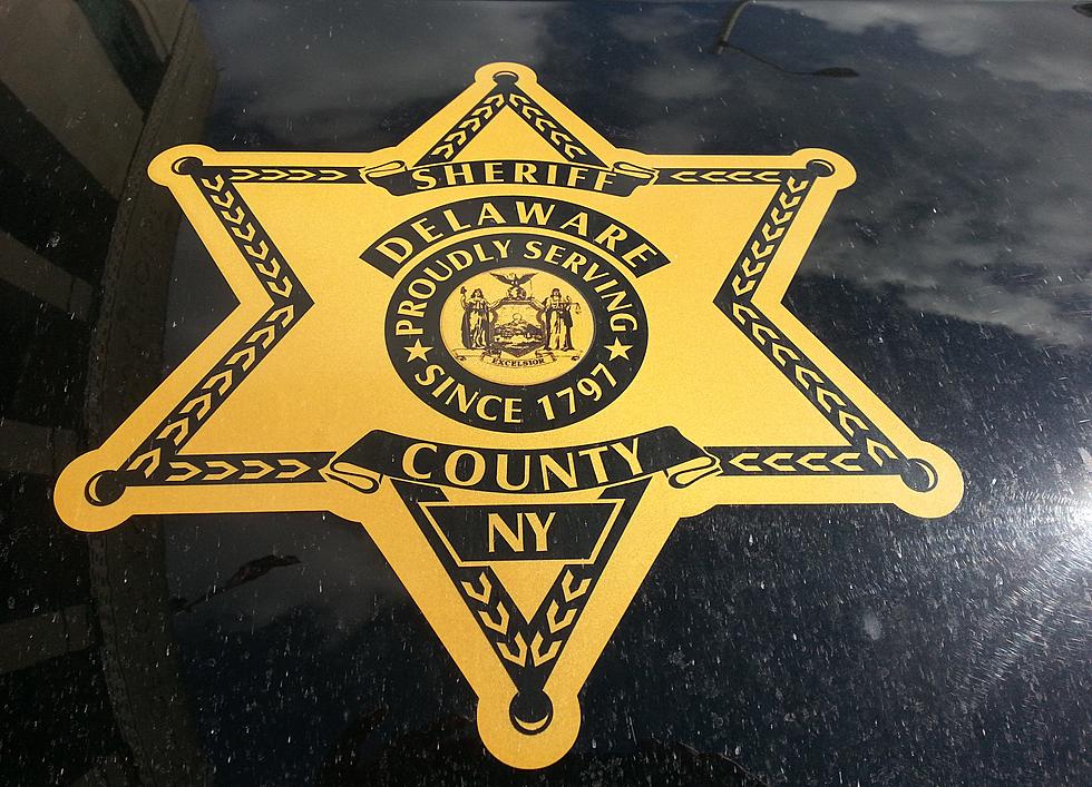 Sheriff’s Arrest 17-Year Old for Violating Protection Order