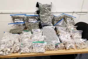 2 Local Teens Arrested; Sheriffs Seize Cache of Pot &#038; Mushrooms