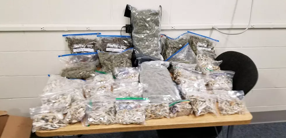 2 Local Teens Arrested; Sheriffs Seize Cache of Pot & Mushrooms