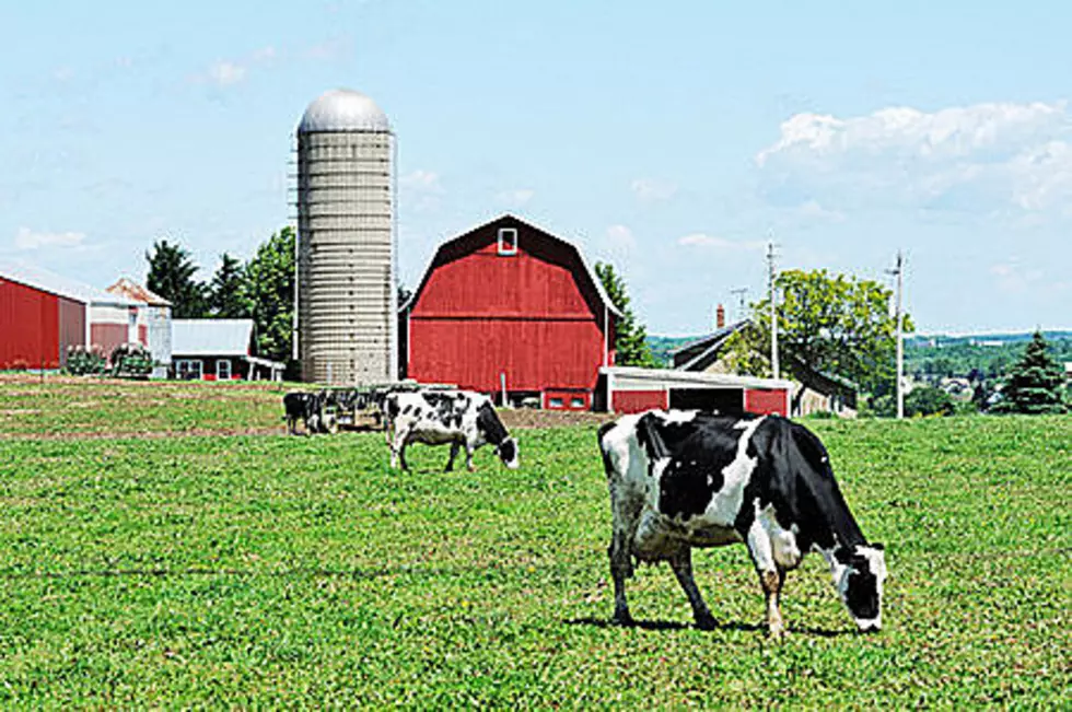 Calling Schoharie, Otsego & Delaware County Farms for Family Farm Day!