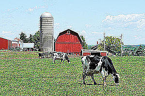 NYS Farm Bureau President Says &#8220;Don&#8217;t Close the Farms!&#8221;