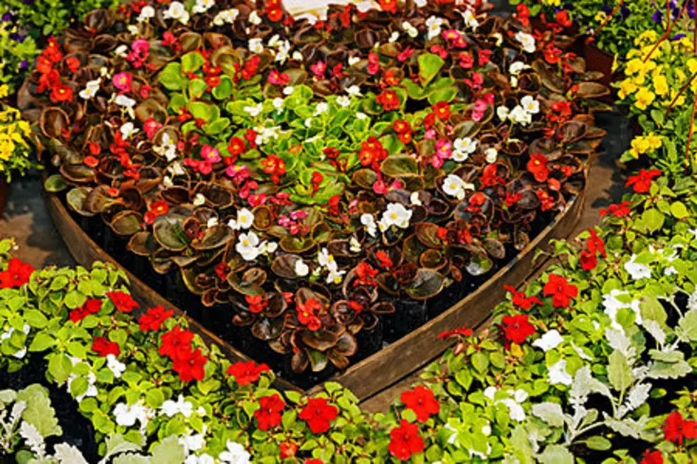 Cornell Cooperative Extension Seeks Master Gardeners