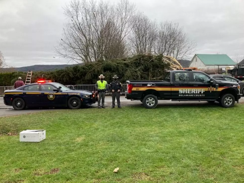 Del. County Sheriff DuMond Comments on “Christmas Tree Duty”